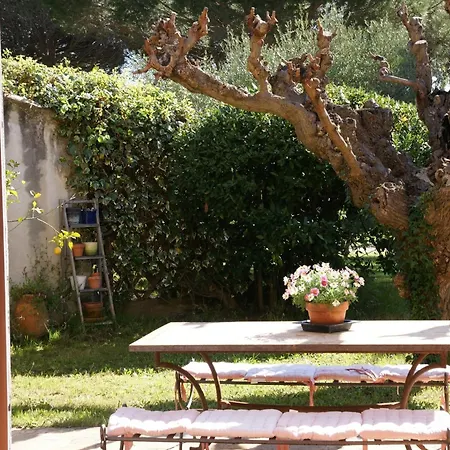 Bed & Breakfast Lei Souco *