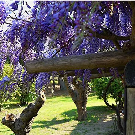 Bed & Breakfast Lei Souco Ramatuelle